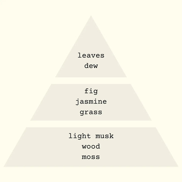Sweetgrass - Incense Sticks