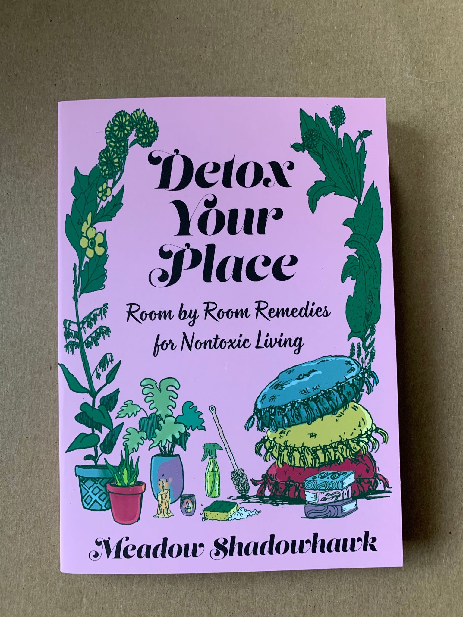 Detox Your Place : Room by Room Remedies for Nontoxic Living